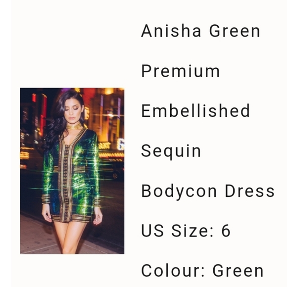 Anisha Green Premium Embellished Sequin shirt dress - Picture 2 of 15